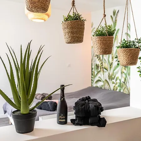 Balneo Sauvage - 275 Apartment